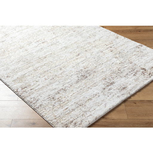 Surya Andorra Plus ARP-2305  Cottage Machinemade Rug
