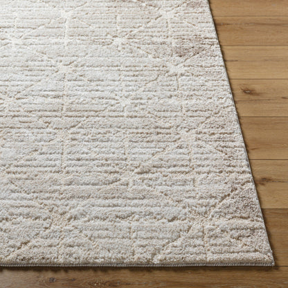 Surya Andorra Plus ARP-2306  Cottage Machinemade Rug