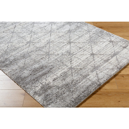 Surya Andorra Plus ARP-2307  Cottage Machinemade Rug