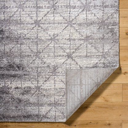 Surya Andorra Plus ARP-2307  Cottage Machinemade Rug