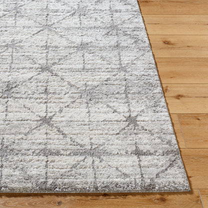 Surya Andorra Plus ARP-2307  Cottage Machinemade Rug