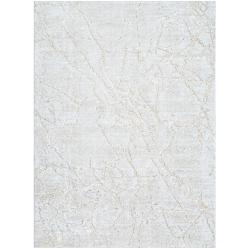Surya Andorra Plus ARP-2312 Cream Cottage Machinemade Rug
