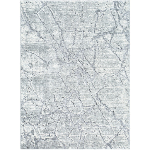 Surya Andorra Plus ARP-2313 Slate Cottage Machinemade Rug