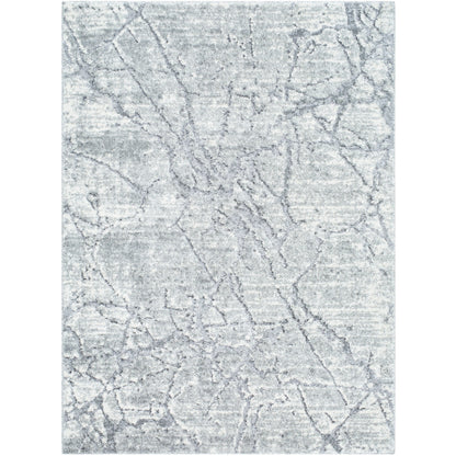 Surya Andorra Plus ARP-2313 Slate Cottage Machinemade Rug