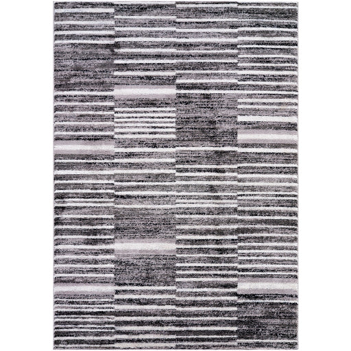 Surya Andorra Plus ARP-2316  Modern Machinemade Rug