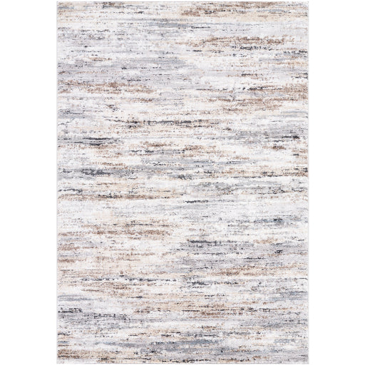 Surya Andorra Plus ARP-2319  Modern Machinemade Rug