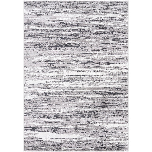 Surya Andorra Plus ARP-2321  Modern Machinemade Rug