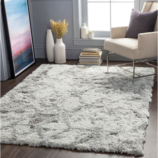 Surya Alta Shag ASG-2302 Light Gray Modern Machinemade Rug