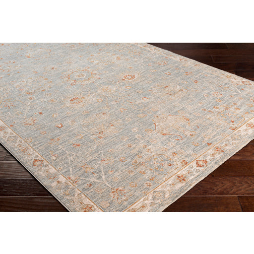 Surya Avant Garde AVT-2322 Denim Traditional Machinemade Rug