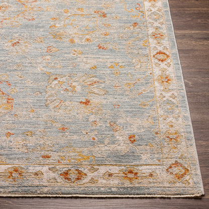 Surya Avant Garde AVT-2322 Denim Traditional Machinemade Rug