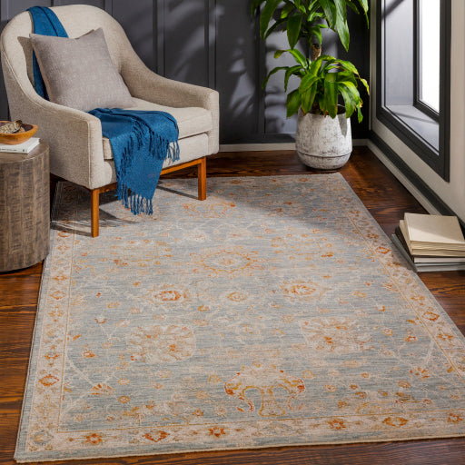 Surya Avant Garde AVT-2322 Denim Traditional Machinemade Rug