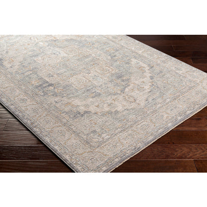 Surya Avant Garde AVT-2337 Denim Traditional Machinemade Rug