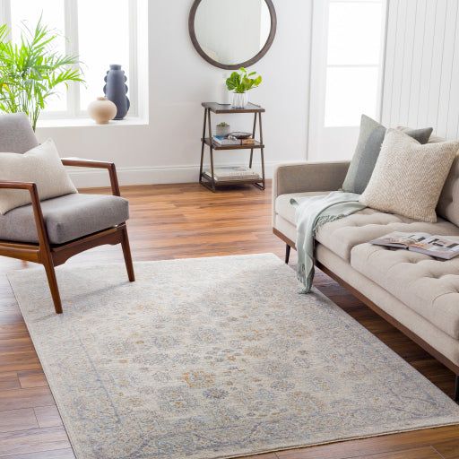 Surya Avant Garde AVT-2342 Medium Gray Traditional Machinemade Rug