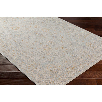 Surya Avant Garde AVT-2343 Medium Gray Traditional Machinemade Rug