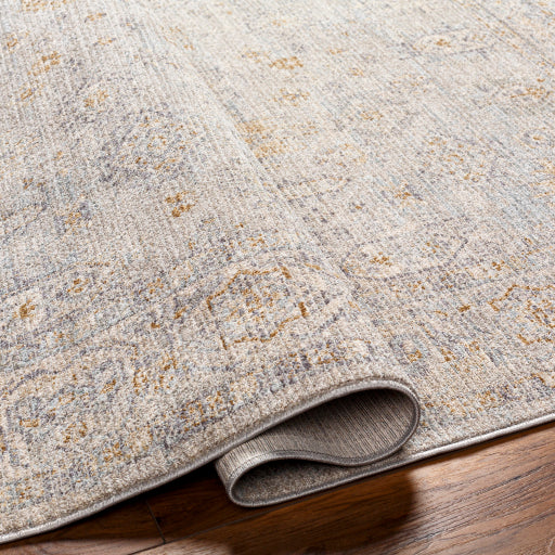 Surya Avant Garde AVT-2343 Medium Gray Traditional Machinemade Rug