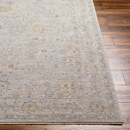 Surya Avant Garde AVT-2343 Medium Gray Traditional Machinemade Rug