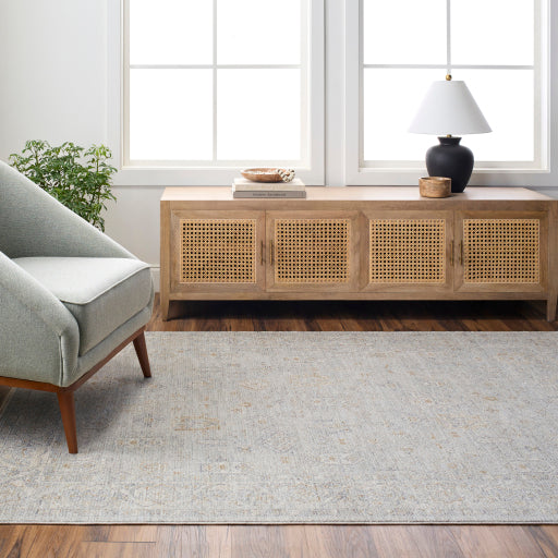 Surya Avant Garde AVT-2343 Medium Gray Traditional Machinemade Rug