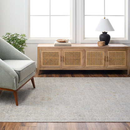 Surya Avant Garde AVT-2343 Medium Gray Traditional Machinemade Rug