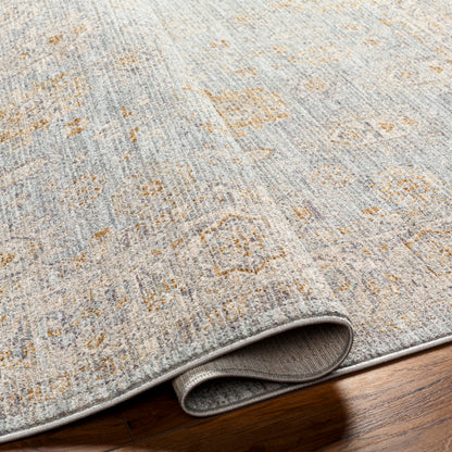 Surya Avant Garde AVT-2344 Medium Gray Traditional Machinemade Rug