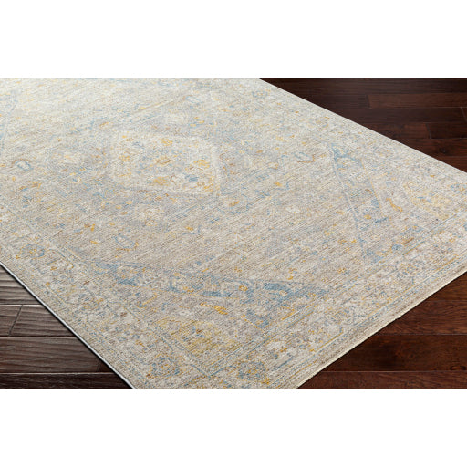 Surya Avant Garde AVT-2360 Taupe Traditional Machinemade Rug