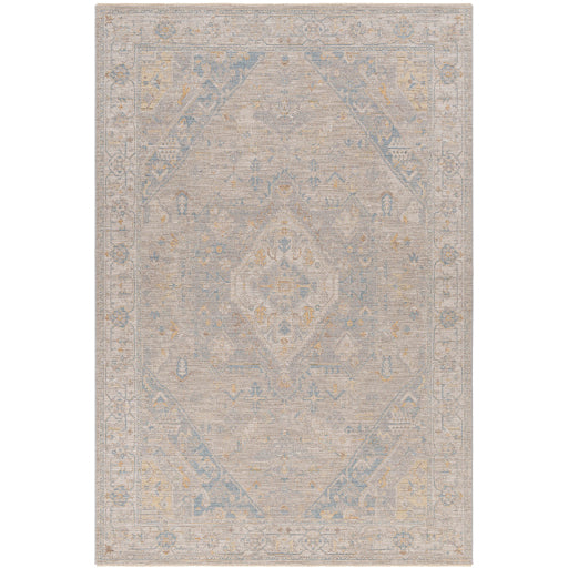 Surya Avant Garde AVT-2360 Taupe Traditional Machinemade Rug