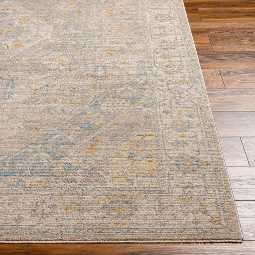 Surya Avant Garde AVT-2360 Taupe Traditional Machinemade Rug