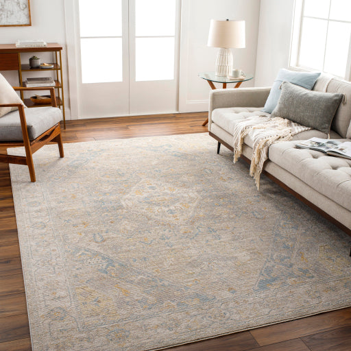 Surya Avant Garde AVT-2360 Taupe Traditional Machinemade Rug