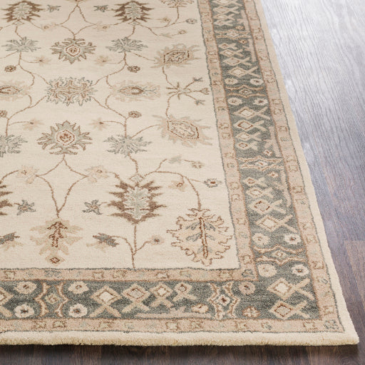 Surya Middleton AWHR-2050 Light Beige Traditional Tufted Rug