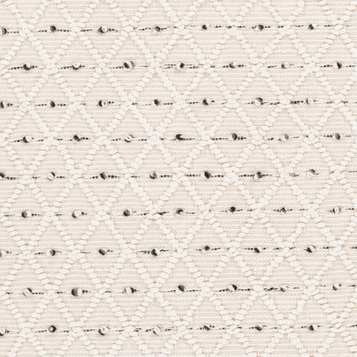 Surya Azalea AZA-2301 Ivory Global Woven Rug