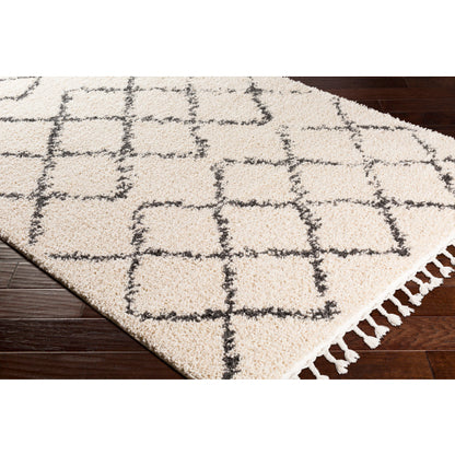 Surya Berber Shag BBE-2300 Charcoal Global Machinemade Rug