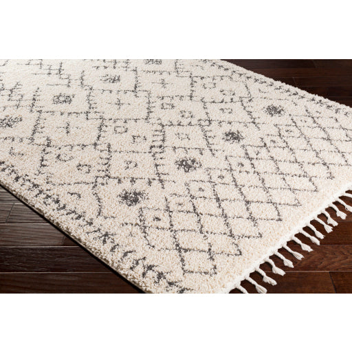 Surya Berber Shag BBE-2302 Charcoal Global Machinemade Rug