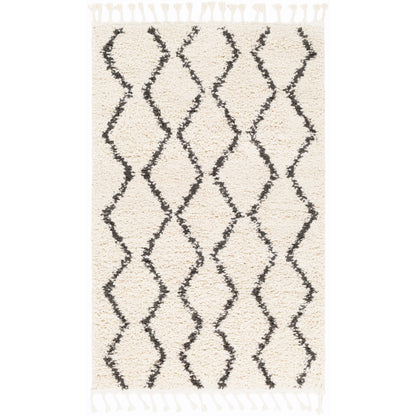 Surya Berber Shag BBE-2303 Charcoal Global Machinemade Rug