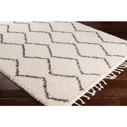 Surya Berber Shag BBE-2303 Charcoal Global Machinemade Rug
