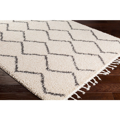 Surya Berber Shag BBE-2303 Charcoal Global Machinemade Rug