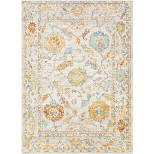 Surya Bodrum BDM-2311 Ivory Traditional Machinemade Rug