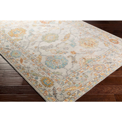 Surya Bodrum BDM-2311 Ivory Traditional Machinemade Rug