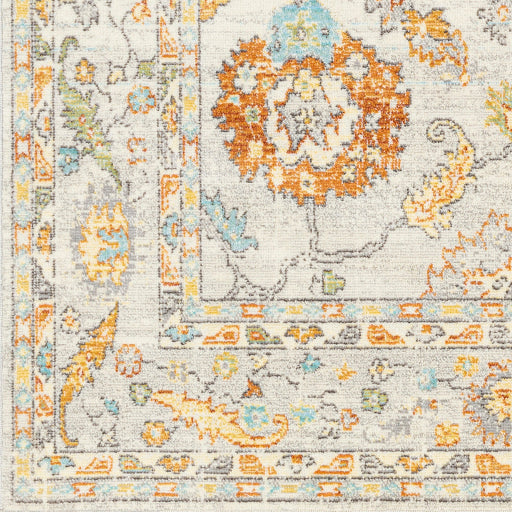Surya Bodrum BDM-2311 Ivory Traditional Machinemade Rug
