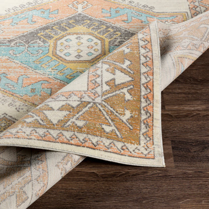 Surya Bodrum BDM-2313 Dusty Coral Global Machinemade Rug