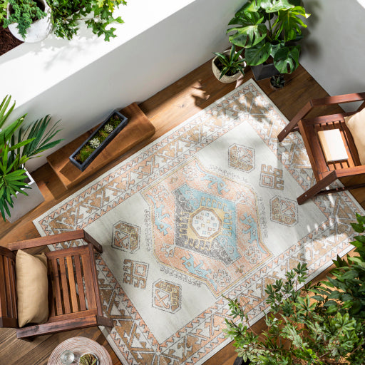Surya Bodrum BDM-2313 Dusty Coral Global Machinemade Rug