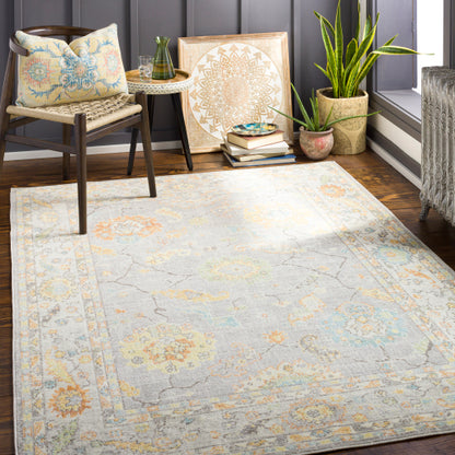 Surya Bodrum BDM-2339 Light Gray Traditional Machinemade Rug