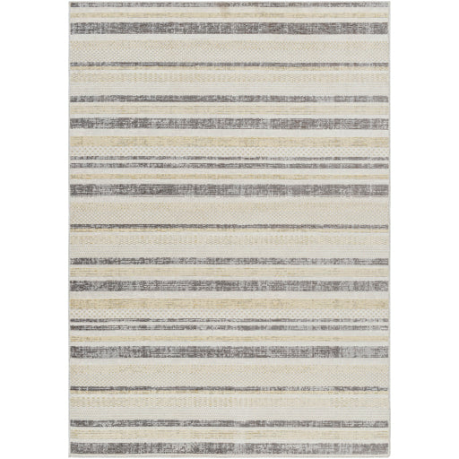 Surya Bodrum BDM-2342 Cream Coastal Machinemade Rug