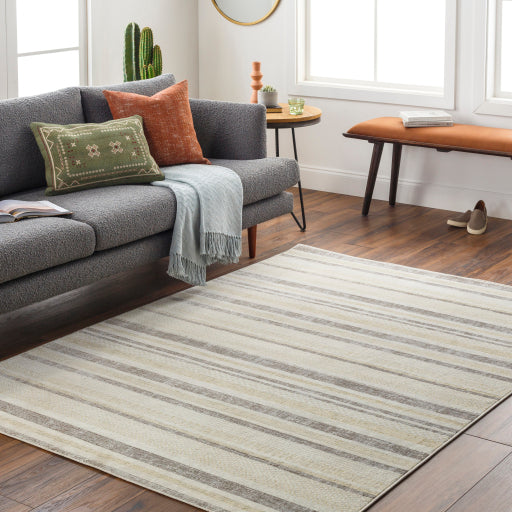 Surya Bodrum BDM-2342 Cream Coastal Machinemade Rug