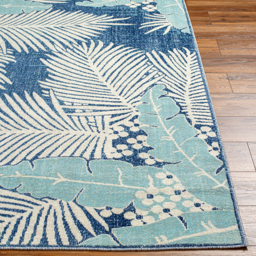 Surya Bodrum BDM-2345 Tan Coastal Machinemade Rug