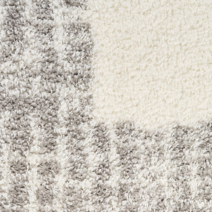 Nourison Home Pacific Shag  Ivory Grey  Contemporary