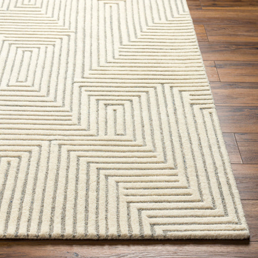 Surya Brook BKO-2313 Beige Modern Tufted Rug
