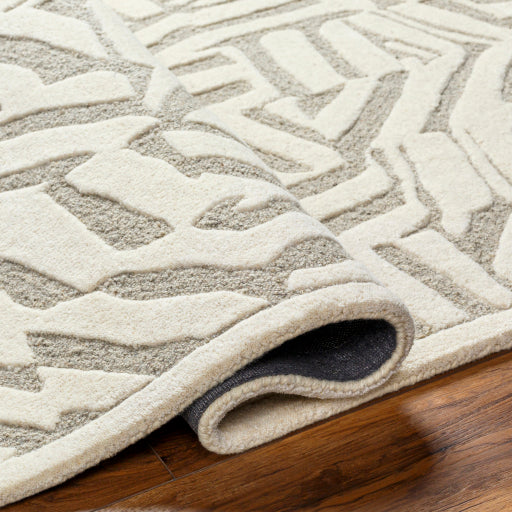 Surya Brook BKO-2314 Beige Modern Tufted Rug
