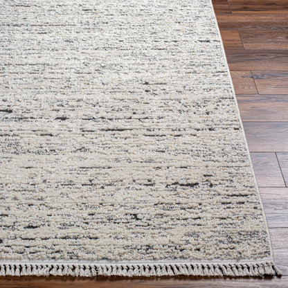 Surya Berlin BLR-2301 Ivory Modern Machinemade Rug
