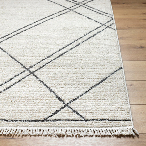 Surya Berlin BLR-2308 Ivory Global Machinemade Rug