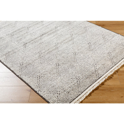 Surya Berlin BLR-2315 Ivory Modern Machinemade Rug
