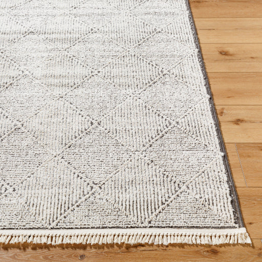 Surya Berlin BLR-2315 Ivory Modern Machinemade Rug